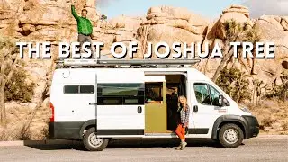 Joshua Tree Camping for FREE! | Winter Van Life in Joshua Tree