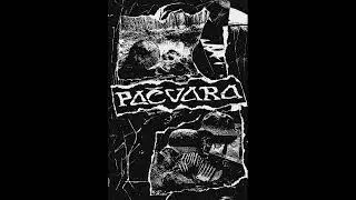 PAČVARA - ST (2022 ) | D-beat / Raw Punk