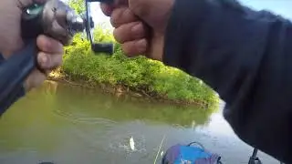 Bass Fishing Ribbit Frog