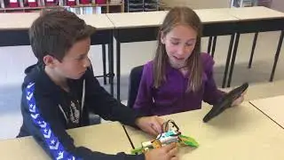 Beaver Robot