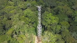 Indispensable contribuci&oacute;n de la Cuenca del Congo en la lucha contra el cambio clim&aacute;tico