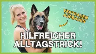 Genialer Alltagstrick! In den Arm springen f&uuml;r gro&szlig;e Hunde