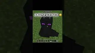 Smiley face 🙂 #minecraft