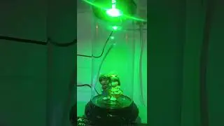 round tank with colour changing LED light