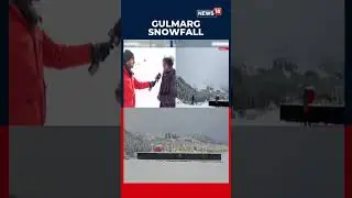 Гулмарг превращается в зимнюю сказку благодаря свежему снегу | #gulmarg | N18S