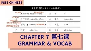 Master PSLE Chinese 6A Chapter 7 第七课 Grammar & Vocabulary 精通词汇和攻克语文应用 (TTA PSLE Chinese Ep 6)