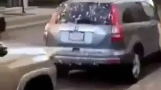 Bird Poop Storm Auto-tune