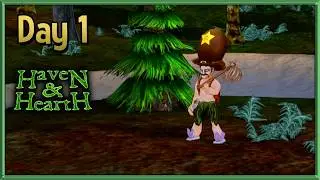 A Day 1 Guide for Haven & Hearth - Finding your First Home - 7 Days of Haven