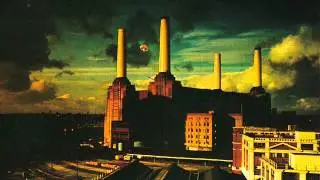 Sheep - Pink Floyd (testo tradotto)