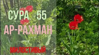 Сура Ар-Рахман - КАКУЮ ЖЕ ИЗ МИЛОСТЕЙ ВАШЕГО ГОСПОДА ВЫ ОТВЕРГАЕТЕ? - КРАСИВОЕ ЧТЕНИЕ