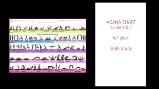 Online Hatha Yoga TTC