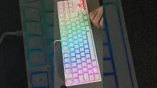 VSG Alnitak 80% TKL (Kailh Red) 62$