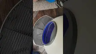 elspet rake trouble