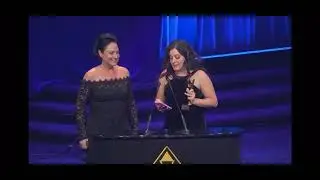 2024 Stevie Awards - Gold Winner: &auml;sthetik skincare