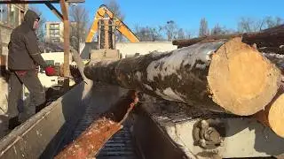 EXTREME TEST &mdash; Log vs Shredder