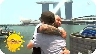 Tattoo Krause in Singapur | SAT.1 Frühstücksfernsehen