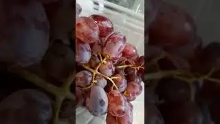 Red Seedless Grapes#grapes#fruit#shortsvideo