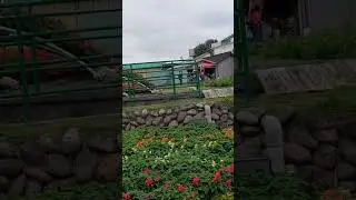 Dolan karo liyane !! #tkwtaiwan #vlogtkwtaiwan