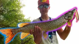 Grand River PIKE Fishing (Giant Caught!)