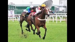 Handicap Contraventora 2025 - Maximiana (Treasure Beach)