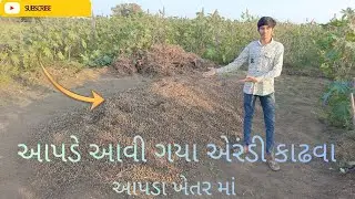 આજે તો હલર માં એરંડી કઢાવી નાખી...😅.||  Day 1 daily vlog || સબ્સ્ક્રાઇબ કરો || સપોર્ટ કરો ❣️