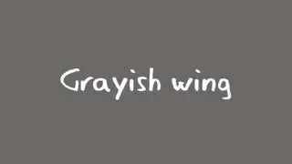 Grayish Wing / SIAM SHADE instrumental cover