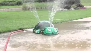 My Portable Splash Pad Spray and Play Turtle