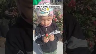 Tasting Of Home Grown Strawberry Day 2 || Organic Strawberry #viral #garden #trending #day2