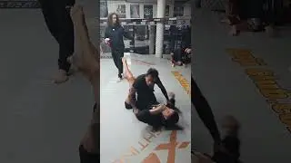 🦍Chimp 2 Champ🦍 - Live🥊 MMA training @tristar gym Montreal