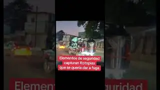 famos&iacute;simo Rotoplas #pischiprincipe #humor #virel #comedia #viralshort #memes