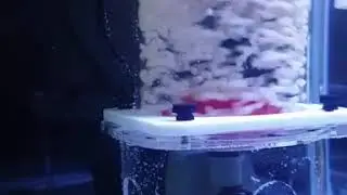 Bubble Magus BioPellet Reactor BP -130