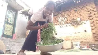 लाखड़ी भाजी और मुर्गा आसन योगा।  Murga asan yoga। मुर्गा आसन यो