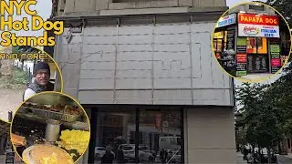 PAPAYA DOG IS GONE! DOSA GUY helps me! | NYC Hot Dog Stands
