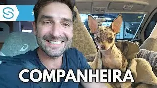 PRIMEIRA VIAGEM DA GUAPA NO MOTORHOME | Travel and Share