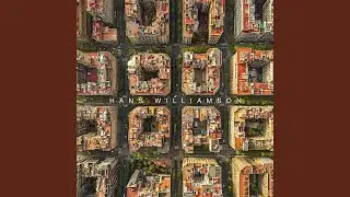 Flight Over The City