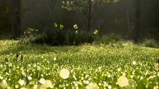 Nature's Tranquility -- Water Meadow Suite