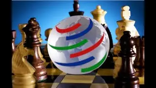 The Crisis at the WTO: Where Do We Go From Here? By WITA (Part 1)