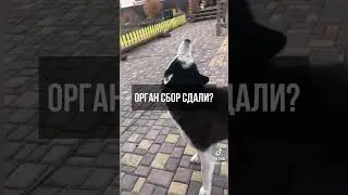 VK/Tg - Страйкбол Ростов-на-Дону AirsoftMax #airsoft #airsoftnation #airsoftvideo #strikeball