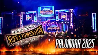 MIX ACOSTAS -MARIMBA ORQUESTA NUEVA DIMENSION PALOMORA 2025