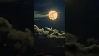 Obsessed with the Moon🌝✨ #aesthetic #moon #beautiful