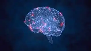 Can the human brain be measured in gigabytes?