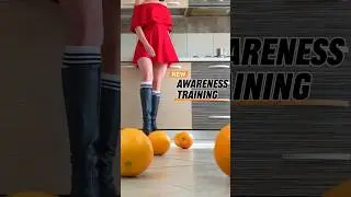 Pea&rsquo;s Boots vs. Oranges! Agressive Food Crushing! Oddly Satisfying! ASMR