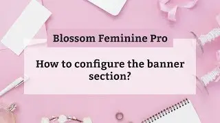 How to configure the banner section | Blossom Feminine Pro WordPress Theme