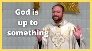 Christmas Catholic Mass Homily / Father Scott Bailey