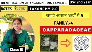 Capparidaceae Family 🌼|| Floral diagram and formulas || Taxonomy || Economic importance