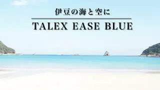期間限定絶賛サングラスレンズ!TALEX EASE BLUE 期間限定の絶賛カラー　2025年も始まりました！