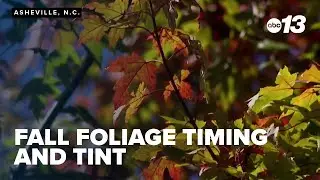 Fall foliage timing and tint depend on October temperatures