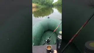 майский вайб #nature #fishing #весна #music #relaxing #carpfishing #spring #рыбалка