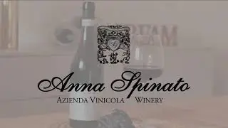 Malanotte del Piave DOCG - wine spot