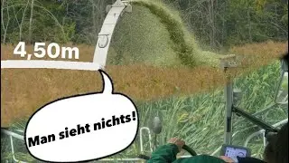MAN SIEHT NICHTS 😅 LIVE 4,50m Hirse häckseln Claas Jaguar 950